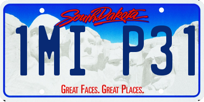 SD license plate 1MIP31
