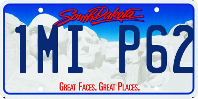 SD license plate 1MIP62