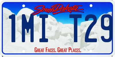 SD license plate 1MIT29