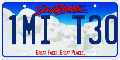 SD license plate 1MIT30