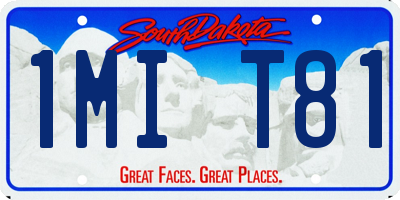 SD license plate 1MIT81