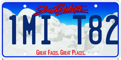 SD license plate 1MIT82