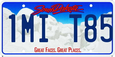 SD license plate 1MIT85