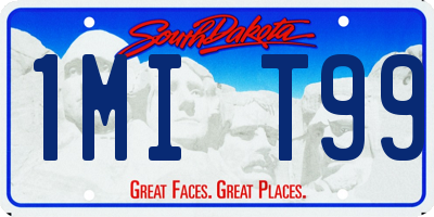 SD license plate 1MIT99