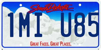 SD license plate 1MIU85