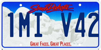 SD license plate 1MIV42