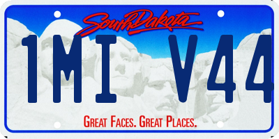 SD license plate 1MIV44