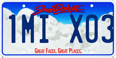 SD license plate 1MIX03