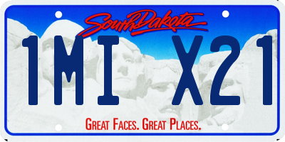 SD license plate 1MIX21