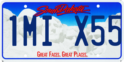 SD license plate 1MIX55