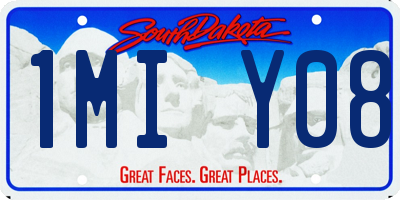 SD license plate 1MIY08