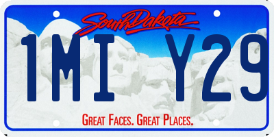 SD license plate 1MIY29
