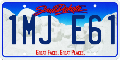 SD license plate 1MJE61