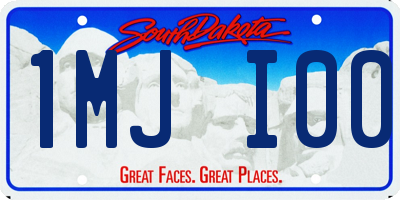SD license plate 1MJI00