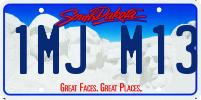 SD license plate 1MJM13
