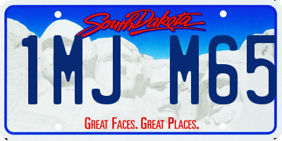 SD license plate 1MJM65