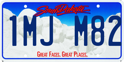 SD license plate 1MJM82