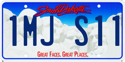 SD license plate 1MJS11