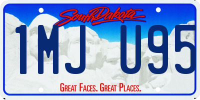 SD license plate 1MJU95