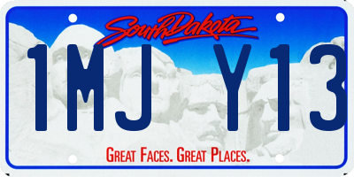 SD license plate 1MJY13