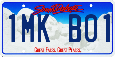 SD license plate 1MKB01