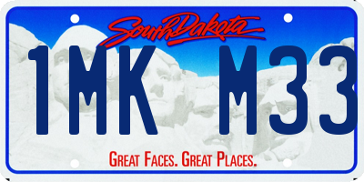 SD license plate 1MKM33