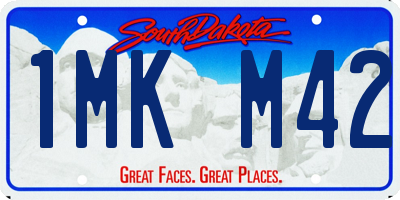 SD license plate 1MKM42