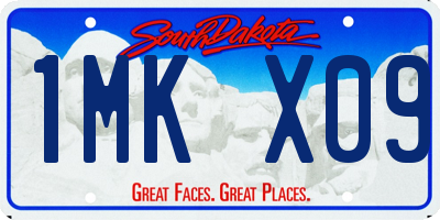 SD license plate 1MKX09
