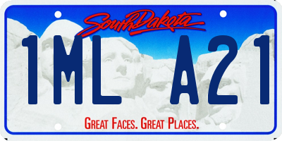 SD license plate 1MLA21