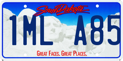 SD license plate 1MLA85