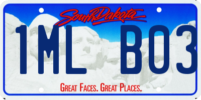 SD license plate 1MLB03