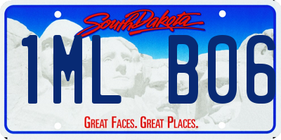 SD license plate 1MLB06