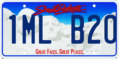 SD license plate 1MLB20
