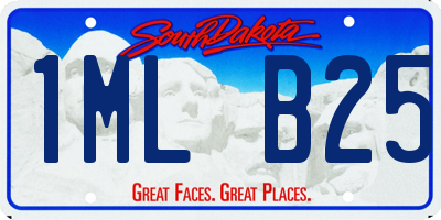 SD license plate 1MLB25
