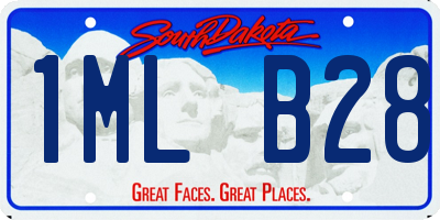 SD license plate 1MLB28