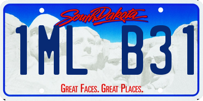 SD license plate 1MLB31