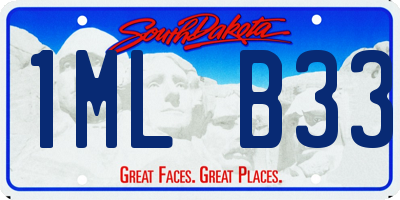 SD license plate 1MLB33