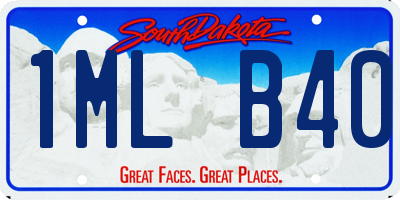 SD license plate 1MLB40