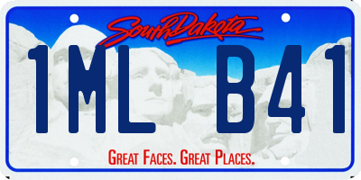 SD license plate 1MLB41