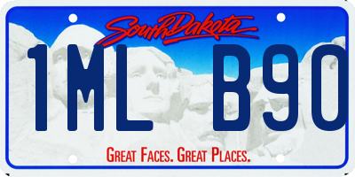SD license plate 1MLB90
