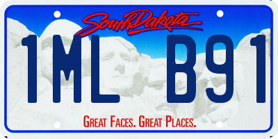 SD license plate 1MLB91