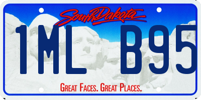 SD license plate 1MLB95