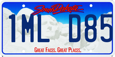 SD license plate 1MLD85