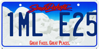 SD license plate 1MLE25