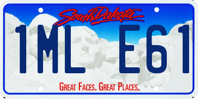 SD license plate 1MLE61