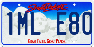 SD license plate 1MLE80
