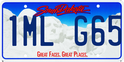 SD license plate 1MLG65