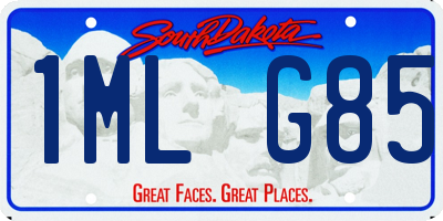 SD license plate 1MLG85