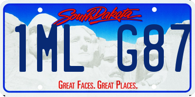 SD license plate 1MLG87