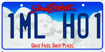 SD license plate 1MLH01